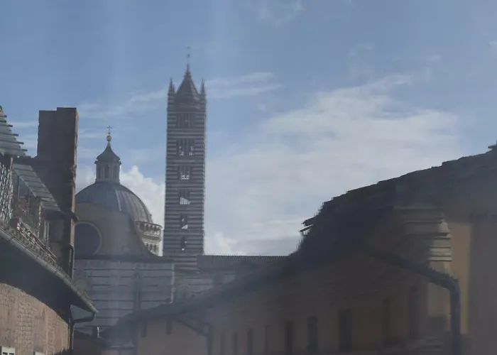 Centro, Civetta