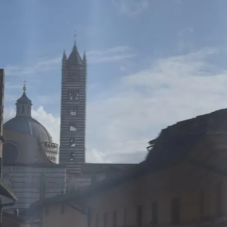 Centro, Civetta